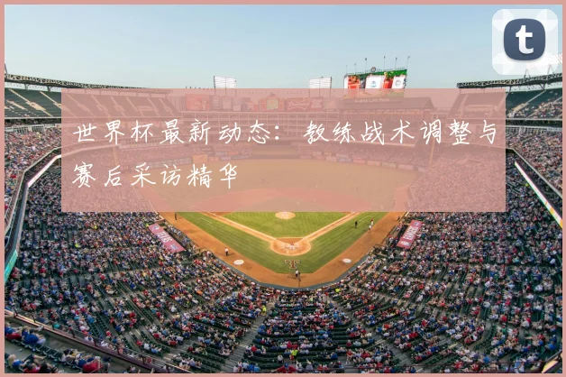 世界杯最新动态：教练战术调整与赛后采访精华