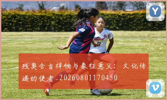 残奥会吉祥物与象征意义:文化传递的使者_20260801170450