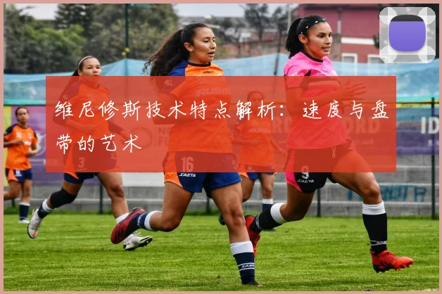 维尼修斯技术特点解析:速度与盘带的艺术